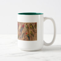 Caneca, papagaios abundante