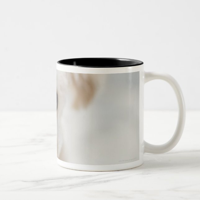 Caneca De Café Em Dois Tons caniche de brinquedo (Direita)