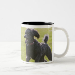 Caneca De Café Em Dois Tons Caniche que joga o frisbee