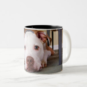 Caneca De Café Em Dois Tons Cão