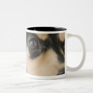 Caneca De Café Em Dois Tons Cão