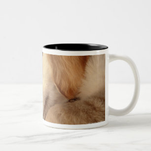 Caneca De Café Em Dois Tons Cão com os calçados que encontram-se no assoalho