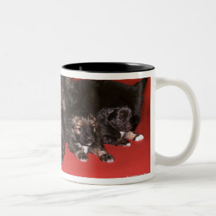 Caneca De Café Em Dois Tons Cão da mãe com filhotes de cachorro