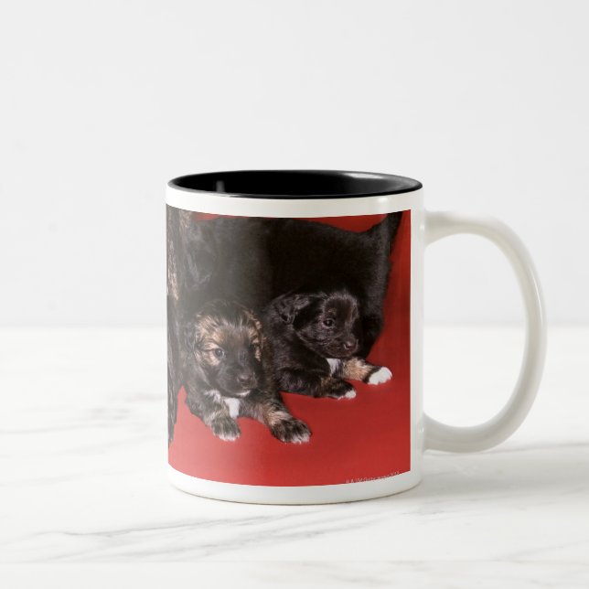 Caneca De Café Em Dois Tons Cão da mãe com filhotes de cachorro (Direita)