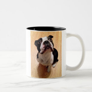 Caneca De Café Em Dois Tons Cão de Boston Terrier