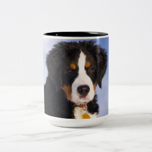 Caneca De Café Em Dois Tons Cão de Montanha Bernês - Foto de Cachorrinho Fofo