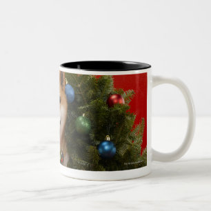 Caneca De Café Em Dois Tons Cão de Shiba Inu que senta-se na grinalda do Nata