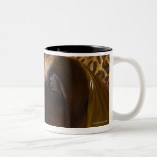 Caneca De Café Em Dois Tons Cão do Bloodhound