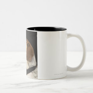 Caneca De Café Em Dois Tons Cão do lebreiro com perfil preto do colar