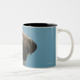 Caneca De Café Em Dois Tons Cão do Pug que senta-se na cama pela garrafa de