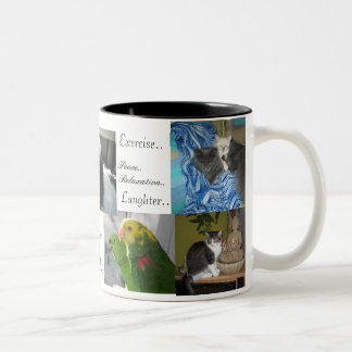 Caneca De Café Em Dois Tons Cão, gatos, pássaros, melhores amigos