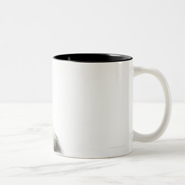 Caneca De Café Em Dois Tons Cão no branco 104 (Direita)