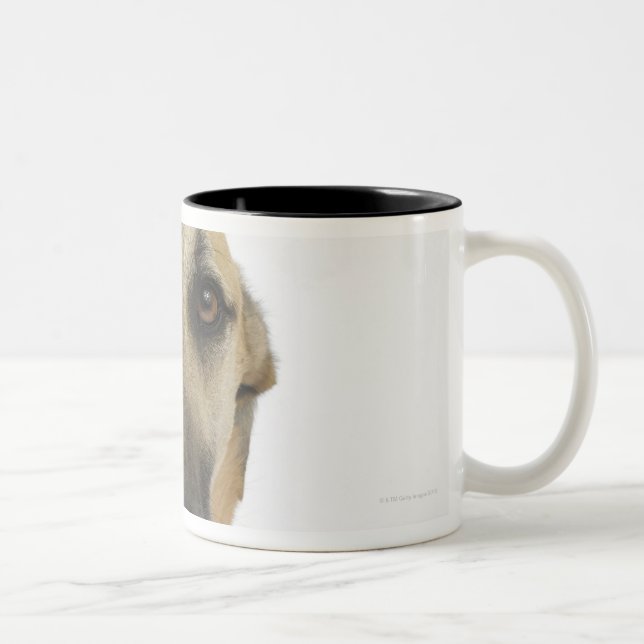 Caneca De Café Em Dois Tons Cão no branco 41 (Direita)