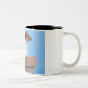 Caneca De Café Em Dois Tons Cão no flowerpot