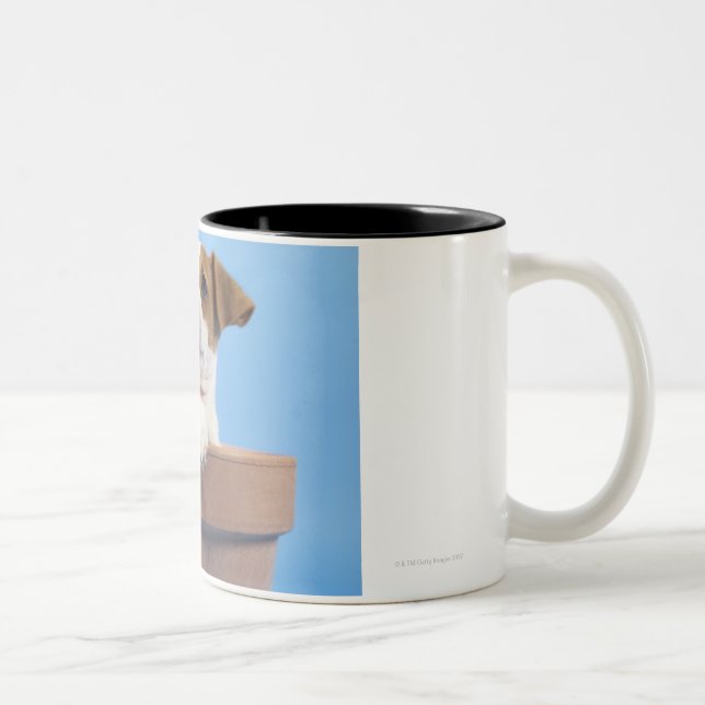 Caneca De Café Em Dois Tons Cão no flowerpot (Direita)