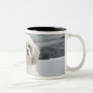 Caneca De Café Em Dois Tons Cão que coloca pela água
