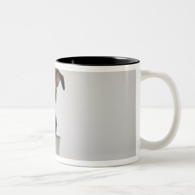 Caneca De Café Em Dois Tons Cão que come da bacia (Direita)
