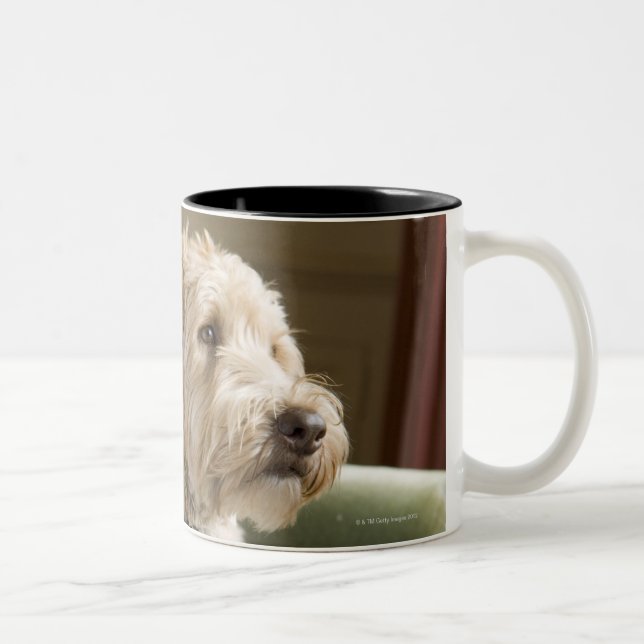 Caneca De Café Em Dois Tons Cão que senta-se na poltrona (Direita)