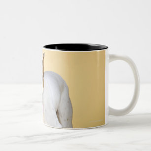 Caneca De Café Em Dois Tons Cão que veste botas