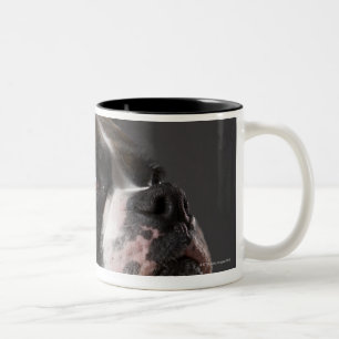 Caneca De Café Em Dois Tons Cão que veste o colar, olhando afastado