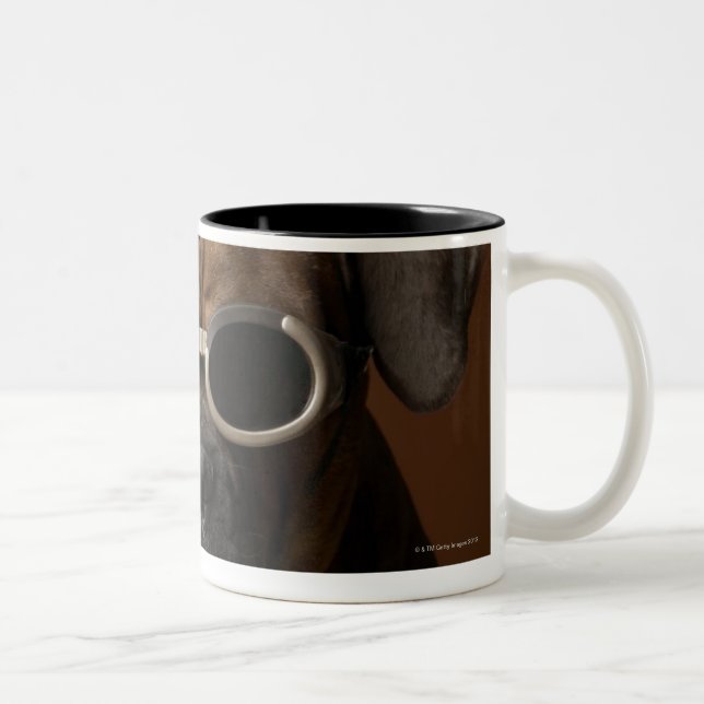 Caneca De Café Em Dois Tons Cão que veste óculos de sol (Direita)