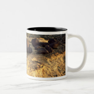 CANECA DE CAFÉ EM DOIS TONS CAPITOL REEF NATIONAL PARK, UTAH. EUA.