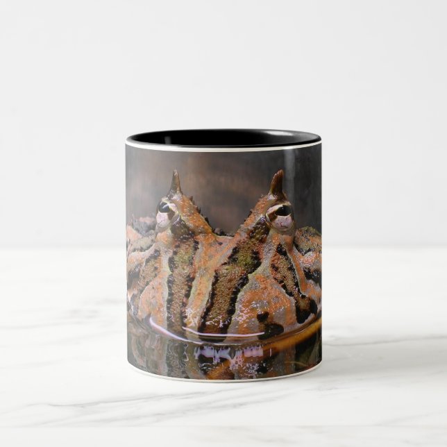 Caneca De Café Em Dois Tons Cara de Sapo (Centro)