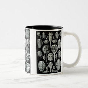 Caneca De Café Em Dois Tons Caranguejos em ferradura, Trilobites & caracóis