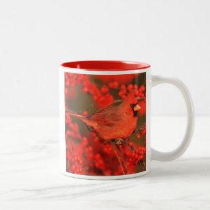 Caneca De Café Em Dois Tons Cardinal do Norte macho vermelho, IL