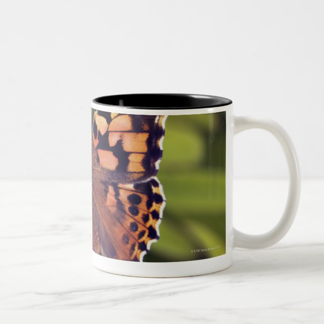 Caneca De Café Em Dois Tons cardui do vanessa - Europa, Alemanha, Baviera, (Direita)