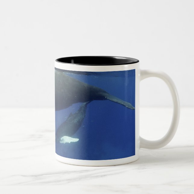 Caneca De Café Em Dois Tons Caribe, arquipélago das Grandes Antilhas, (Direita)