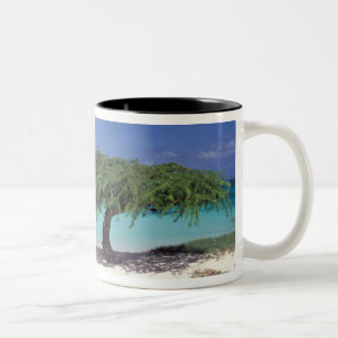 Caneca De Café Em Dois Tons Caribe, Aruba. Praia Eagle