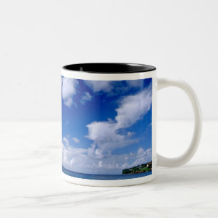 Caneca De Café Em Dois Tons Caribe, Pequenas Antilhas, Índias Ocidentais,