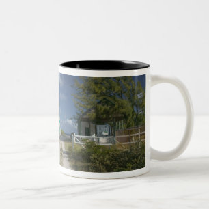 Caneca De Café Em Dois Tons Caribe, TURKS & CAICOS, Ilha Grand Turk, 3