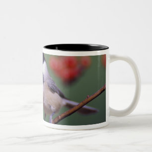 Caneca De Café Em Dois Tons Carolina Chickadee