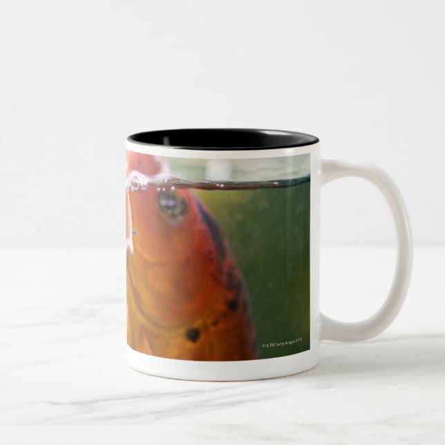 Caneca De Café Em Dois Tons Carpas de Koi (Direita)