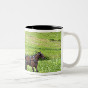 Caneca De Café Em Dois Tons Carroça e cavalo Amish perto de Berlim, Ohio.