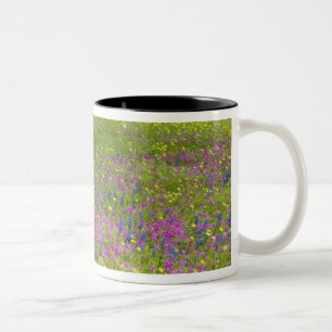 Caneca De Café Em Dois Tons Carvalhos com campo de Phlox, Blue Bonnets