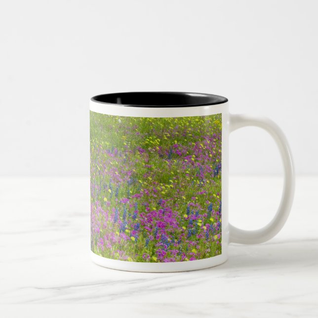 Caneca De Café Em Dois Tons Carvalhos com campo de Phlox, Blue Bonnets (Direita)