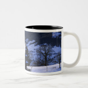 Caneca De Café Em Dois Tons Casa de fazenda e Monte Rigi e Pilatus,