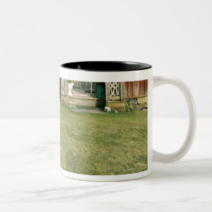 Caneca De Café Em Dois Tons Casa vermelha gasta com um gato no gramado