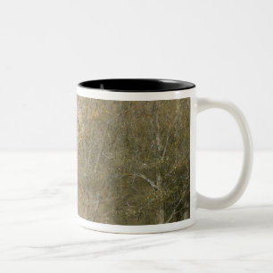 Caneca De Café Em Dois Tons Catedral de Canterbury