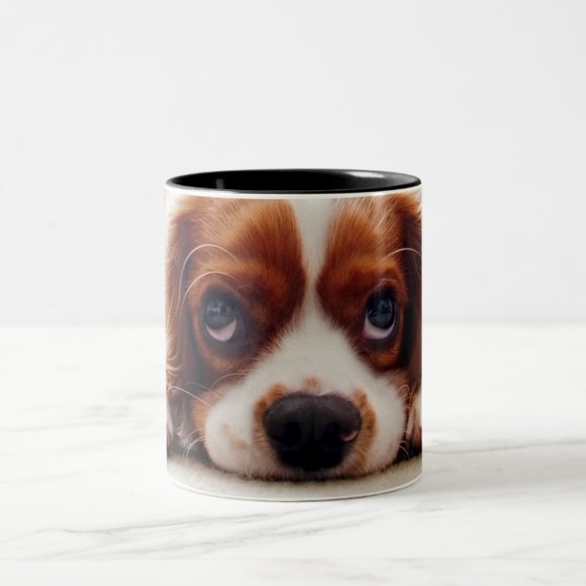 Caneca De Café Em Dois Tons Cavalier King Charles Spaniel (Centro)