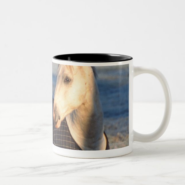 Caneca De Café Em Dois Tons cavalo (Direita)