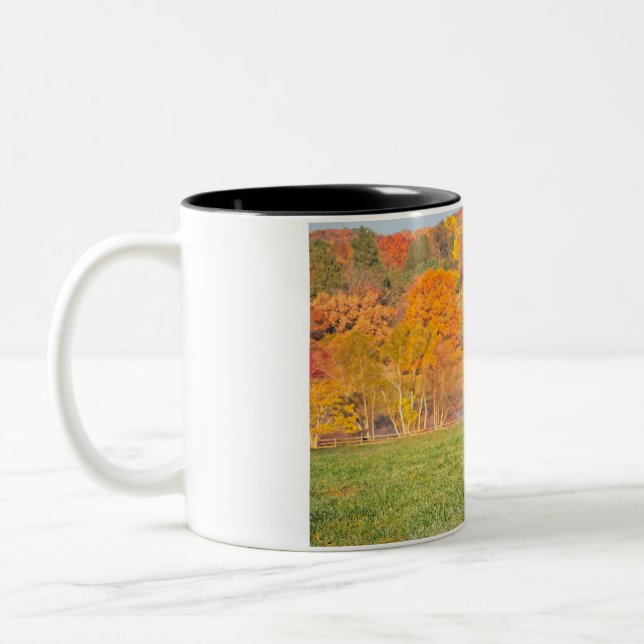 Caneca De Café Em Dois Tons Cavalo 2 (Esquerda)
