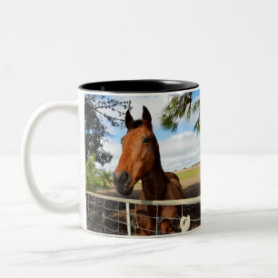 Caneca De Café Em Dois Tons Cavalo Castanho Chamado Tulip,