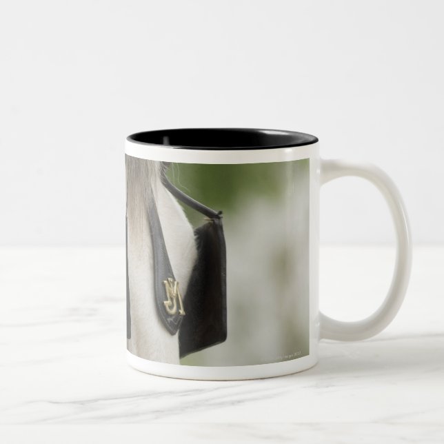 Caneca De Café Em Dois Tons Cavalo com antolhos (Direita)