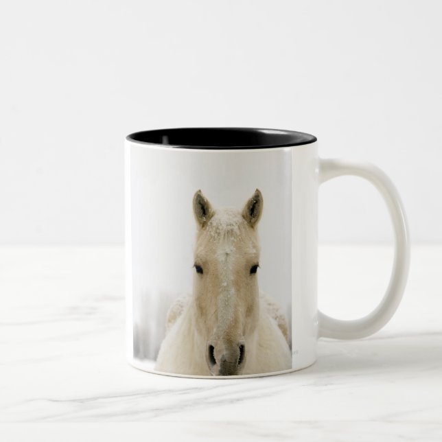 Caneca De Café Em Dois Tons Cavalo com neve na cabeça (Direita)
