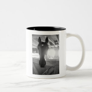 Caneca De Café Em Dois Tons Cavalo de Barn/Fotografia Preta e Branca