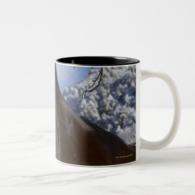 Caneca De Café Em Dois Tons Cavalo de Brown no inverno (Direita)
